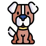 dog 5.png